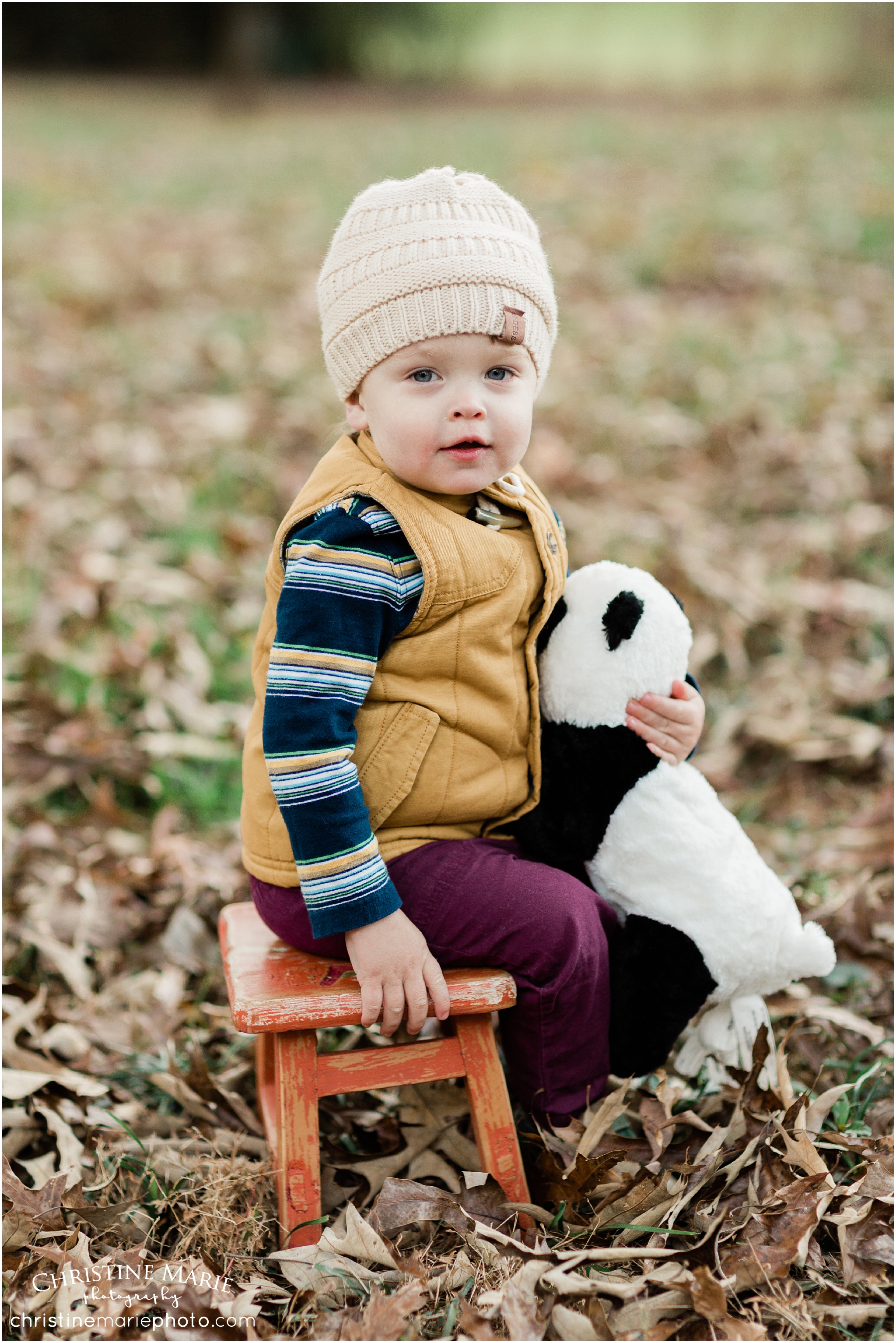 2 year old boy, atlanta child photographer 