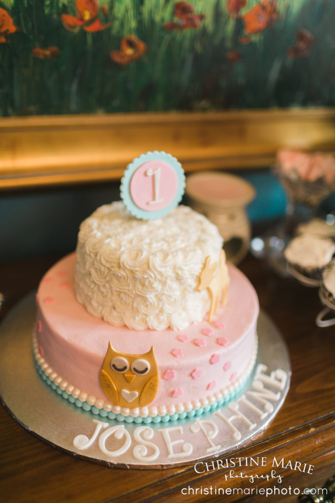 first birthday owl theme darling cake 