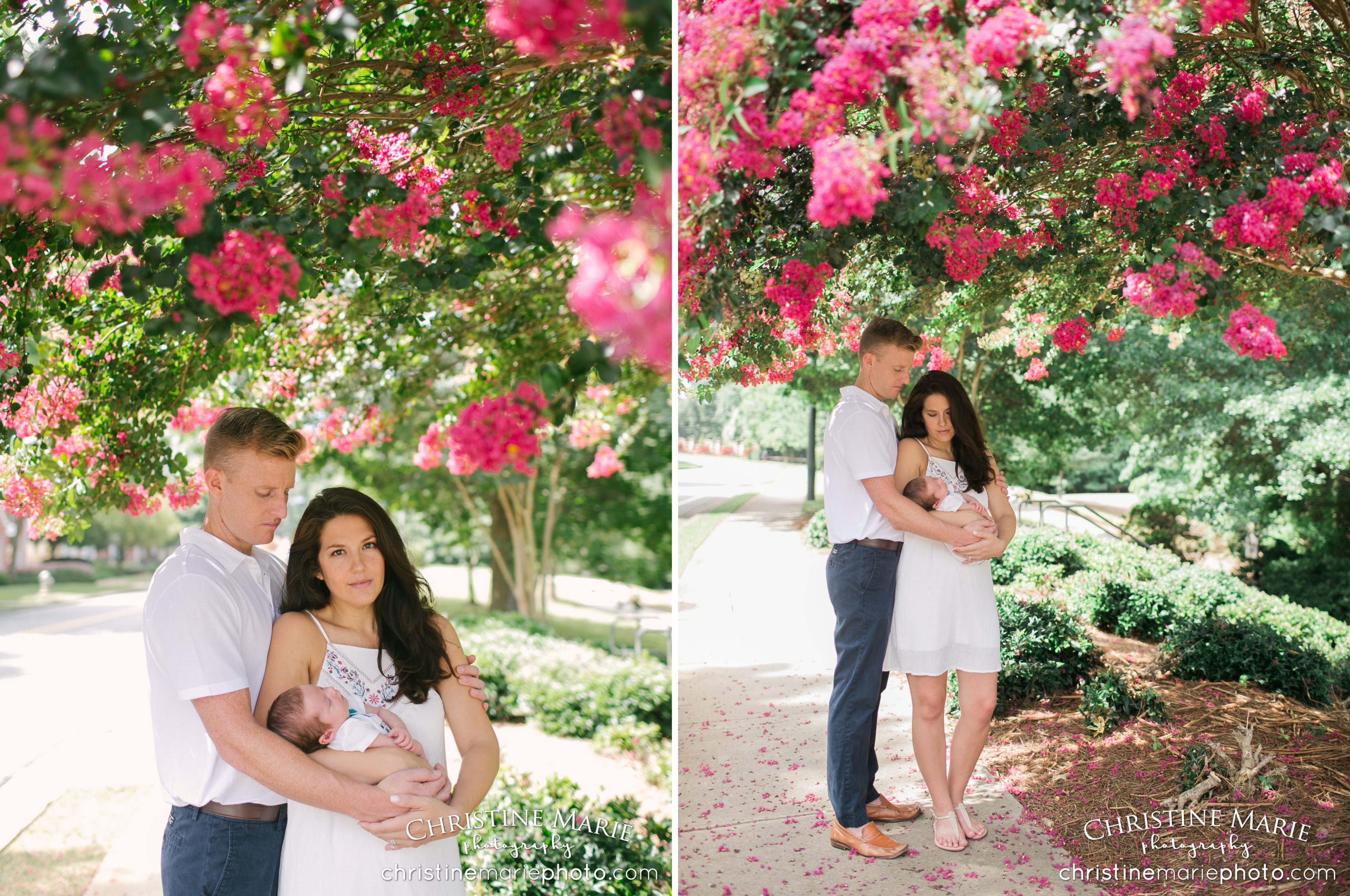 family of three under flowering pink tree