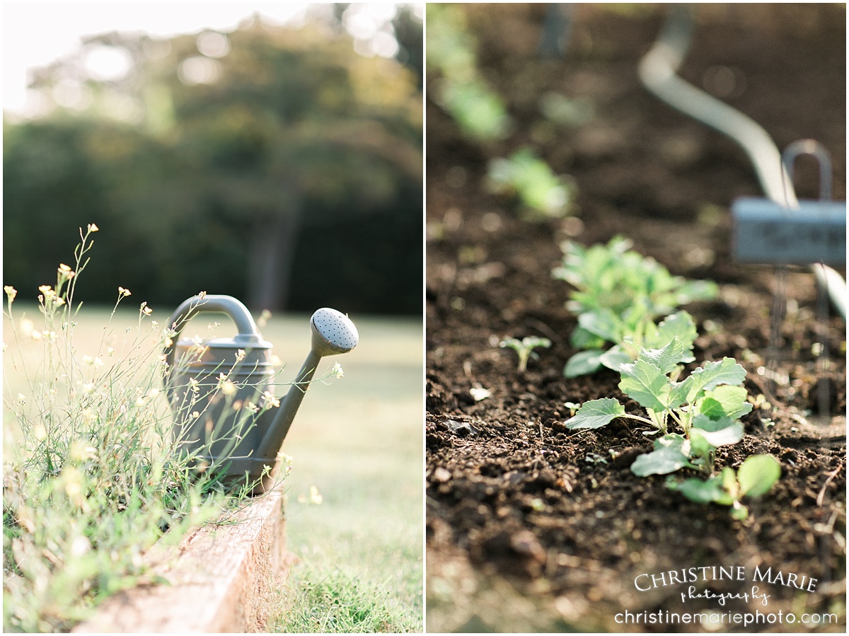 barrington hall garden themed family session