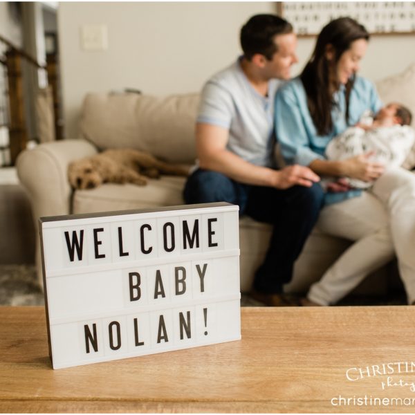 Johns Creek Newborn Photos | In home newborn session with little boys