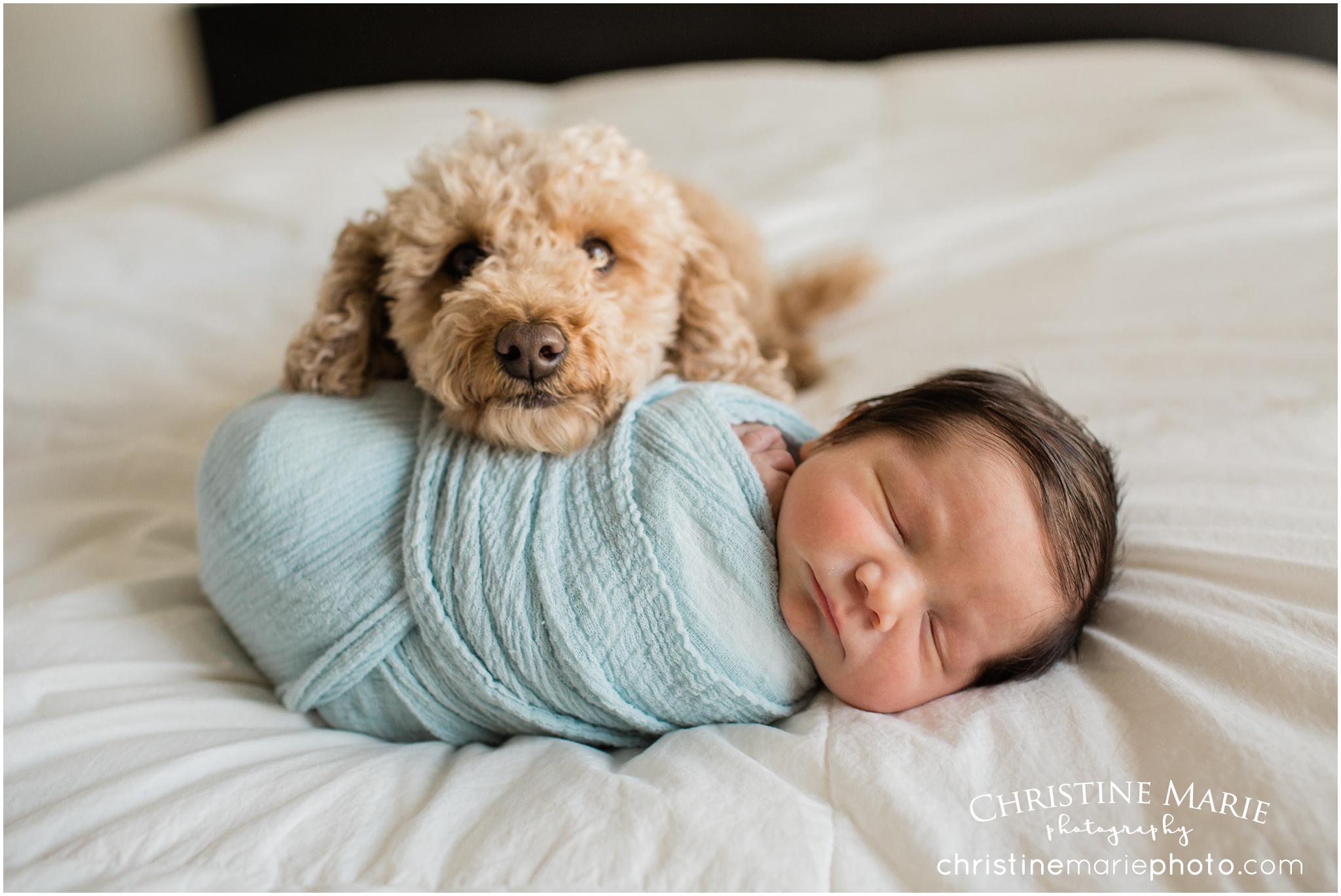 Atlanta lifestyle newborn photographer, christine marie photography