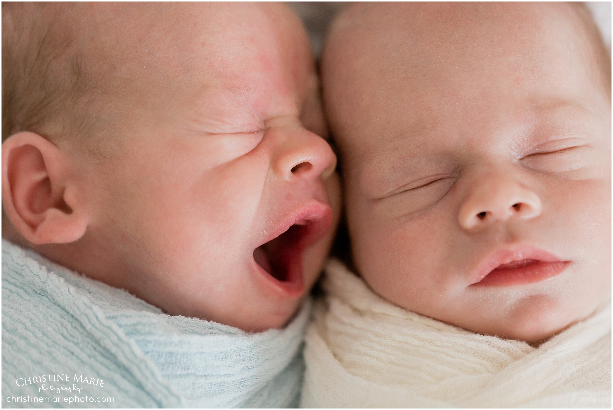 natural twin session, christine marie photography