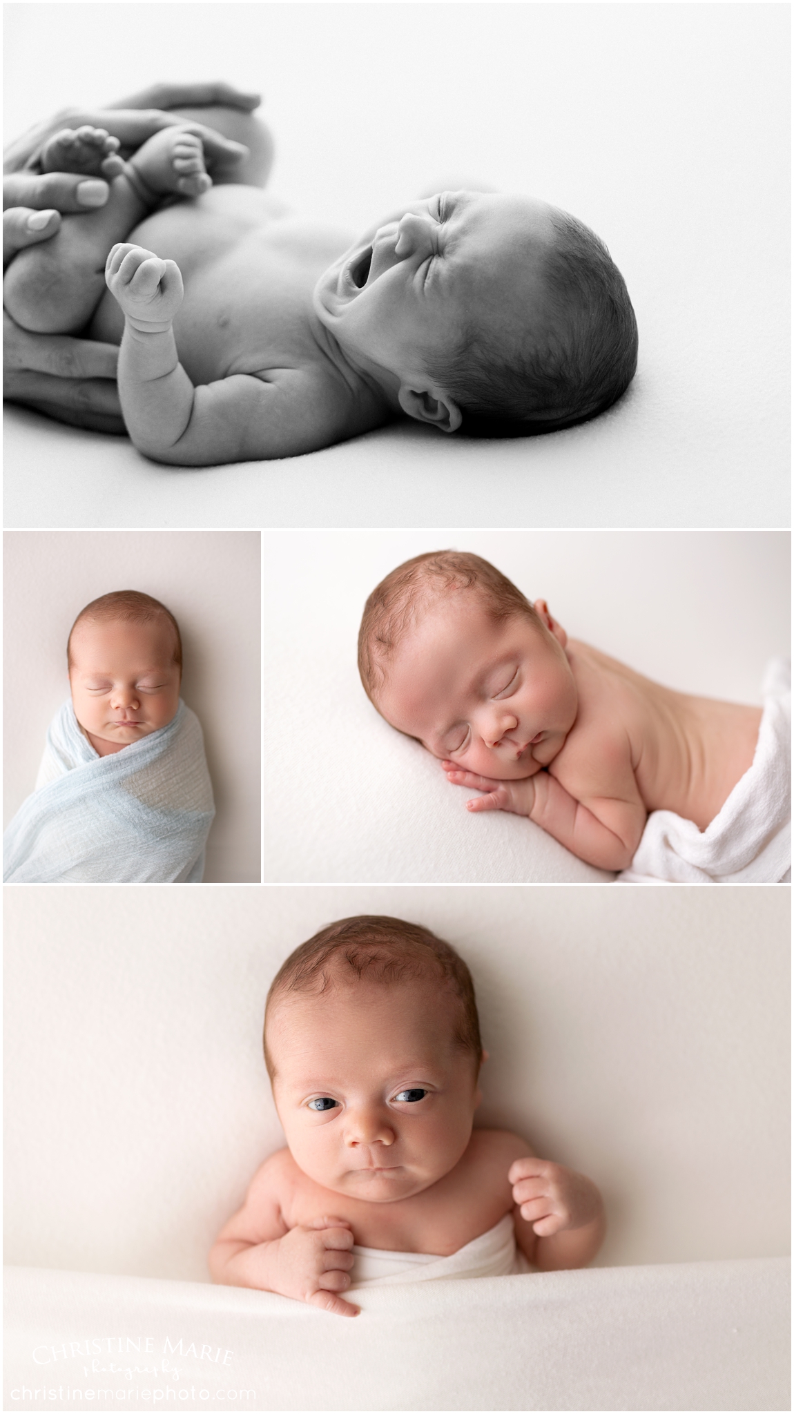 cumming newborn photography studio