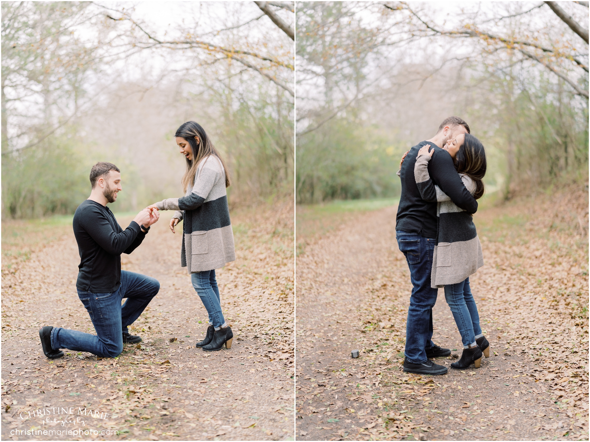 surprise proposal photos