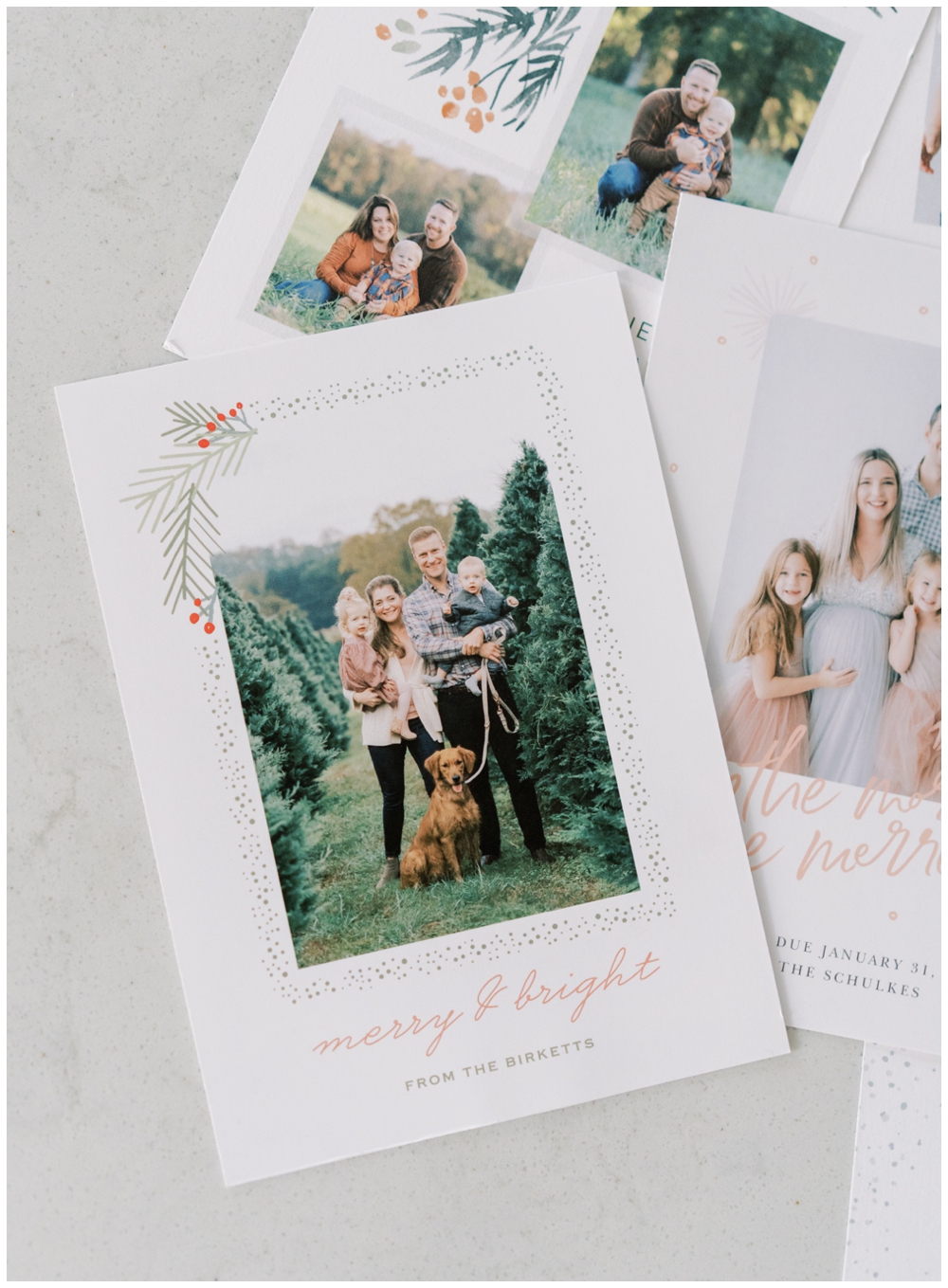 holiday card designs through basic invite