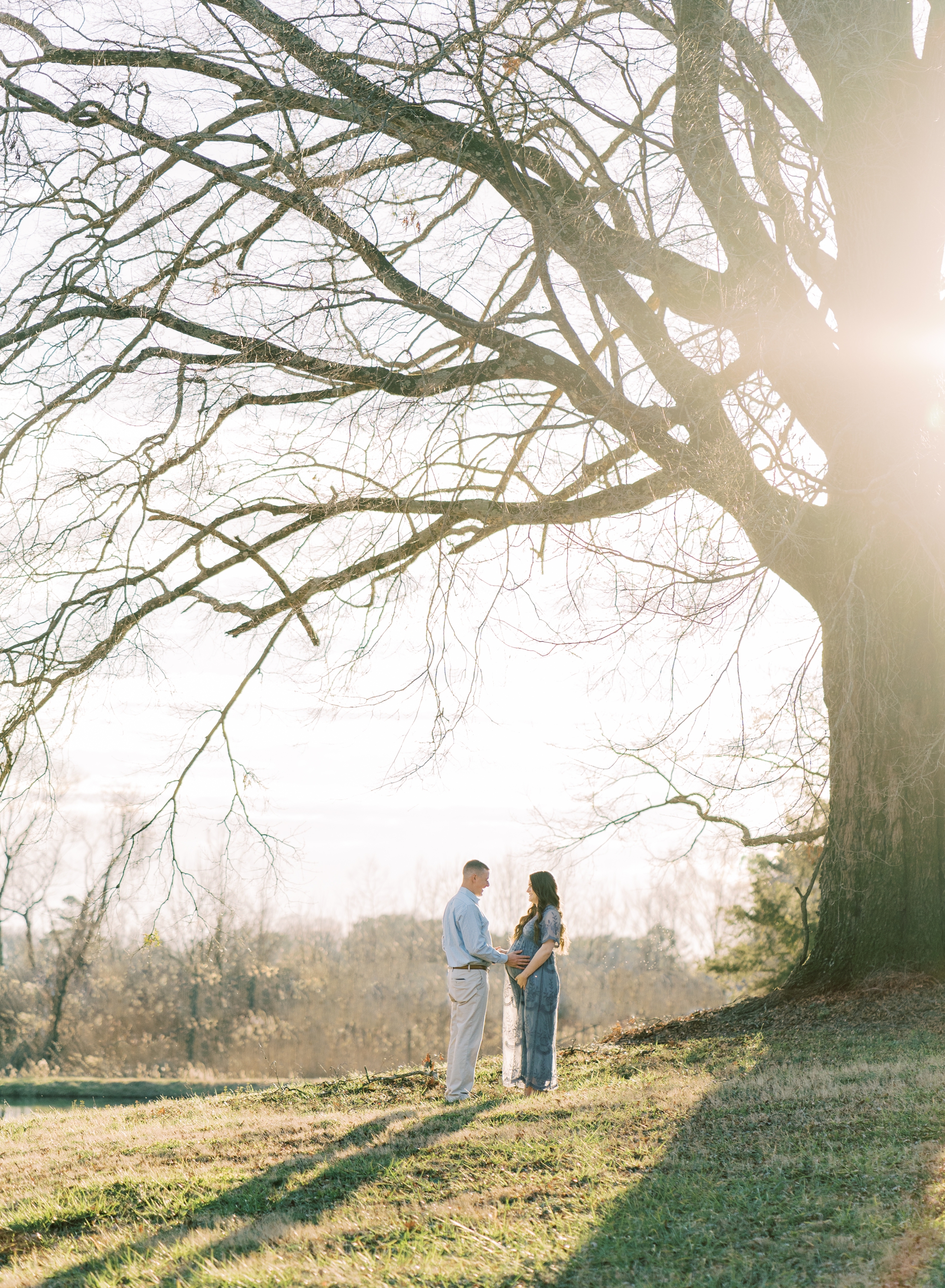 expecting couple under a large oak tree