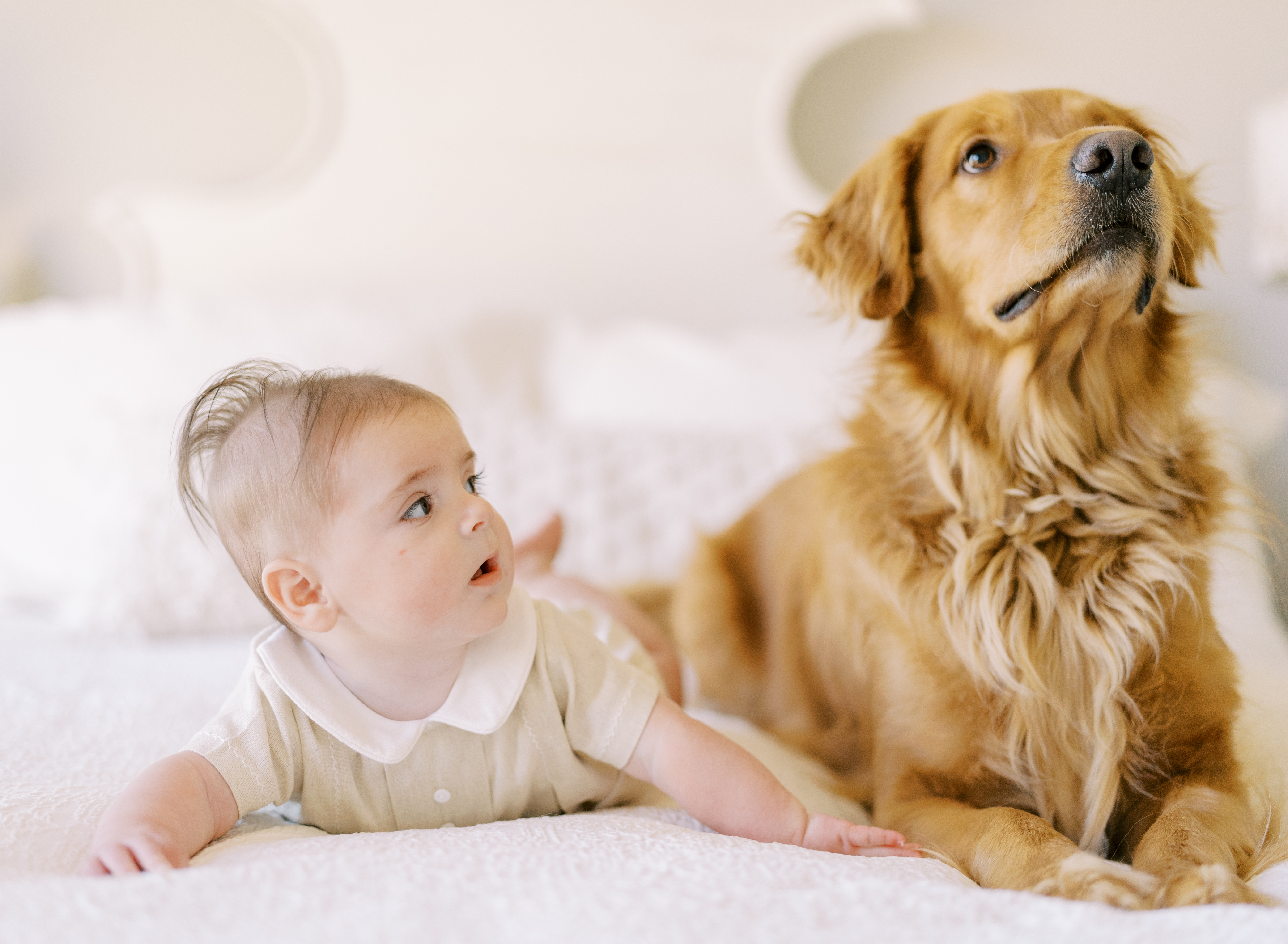 natural baby milestone photos at home with dog