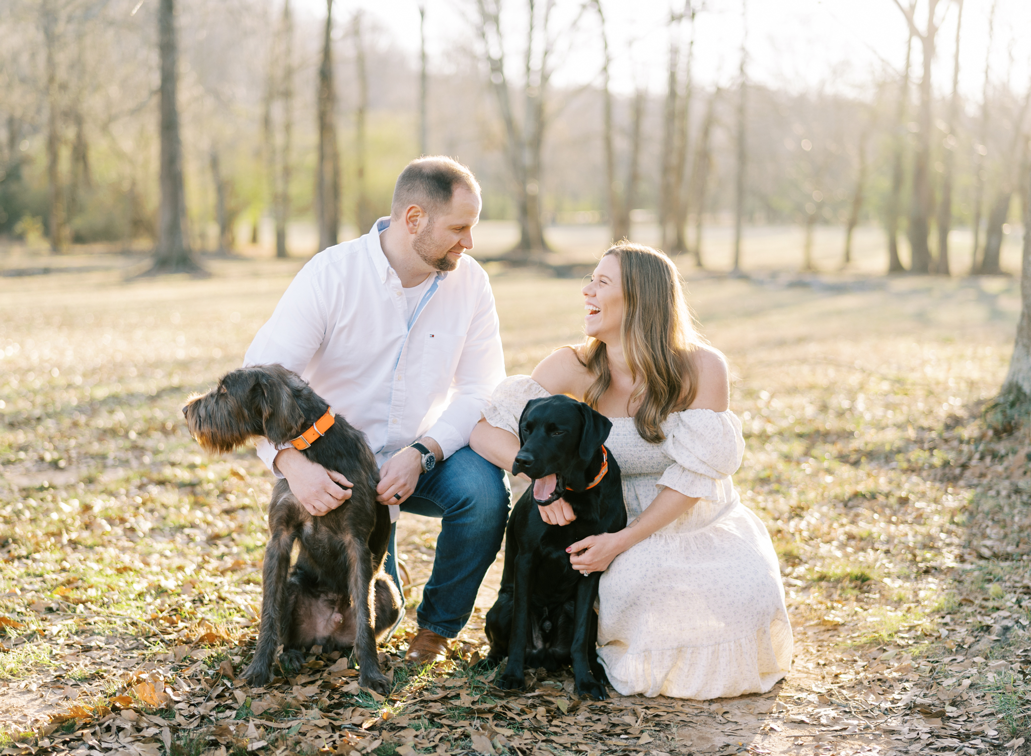 sunset maternity photos with dogs in a field in Cumming GA
