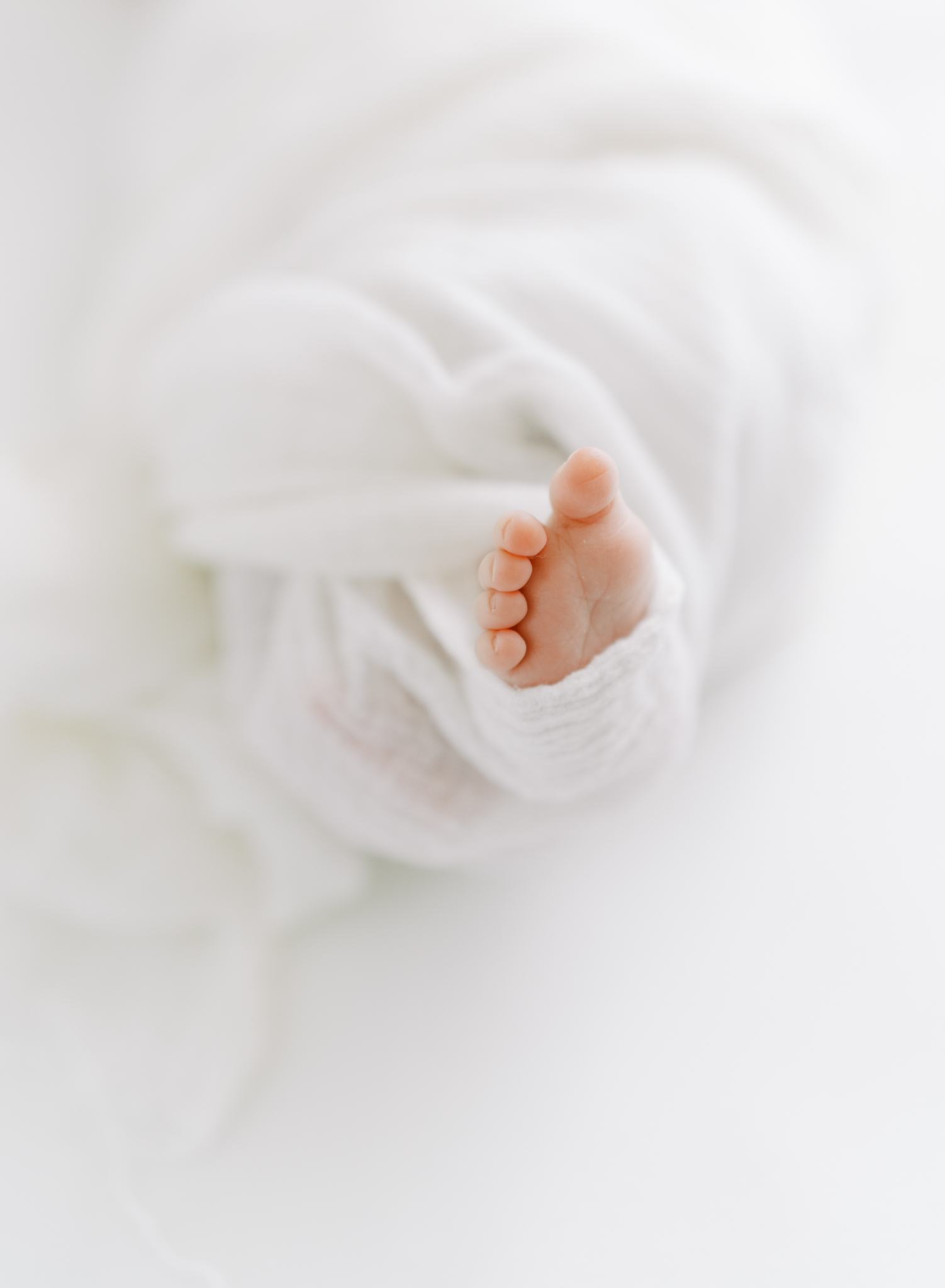tiny newborn foot in studio newborn photos